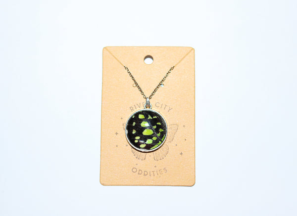 River City Oddities Tailed Jay Butterfly Necklace