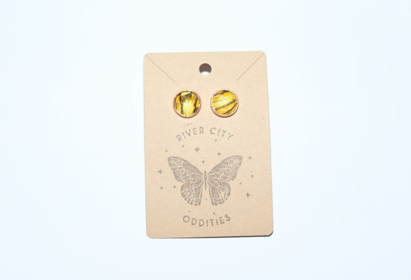 River City Oddities Canadian Tiger Swallowtail Earrings