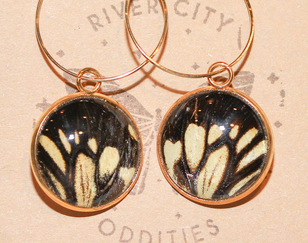 River City Oddities Chestnut Tiger Butterfly Earrings