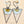 Load image into Gallery viewer, River City Oddities Pressed Daisies Earrings
