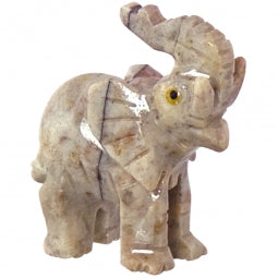 Spirit Animals