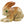 Load image into Gallery viewer, Spirit Animals
